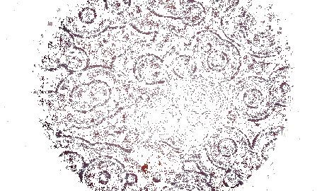 reaction-gifs-Belousov–Zhabotinsky-Reaction