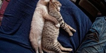 Uyku Hakkında Muhtemelen Bilmediğiniz 15 Kesin Bilgi