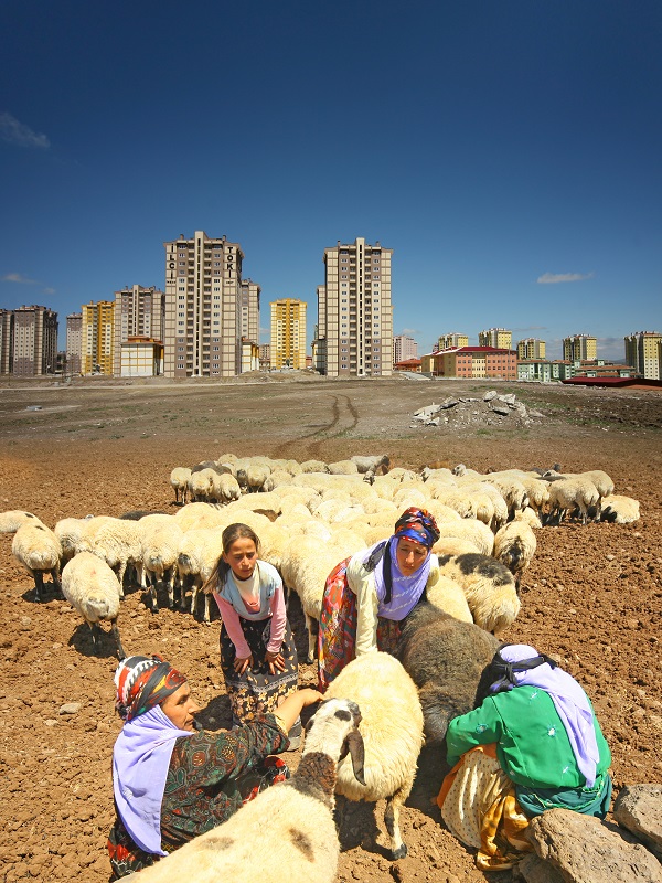 Yılmaz TOPÇU - mansiyon