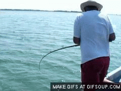 fishing-fail-o
