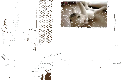6086474