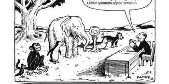 ÖSYM’nin Gözünden YGS Barajını Geçemeyenlerin 27 Ortak Noktası