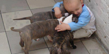 Koşup Üzerine Atlamalık 20 ‘Köpek – Bebek Dostluğu’ Fotoğrafı