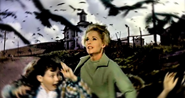 Bir nesilde fobi yaratan film Kuslar (The Birds)