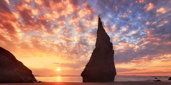 İzlanda’dan Babamız Çıksa Yiyeceğimizin 16 Kanıtı