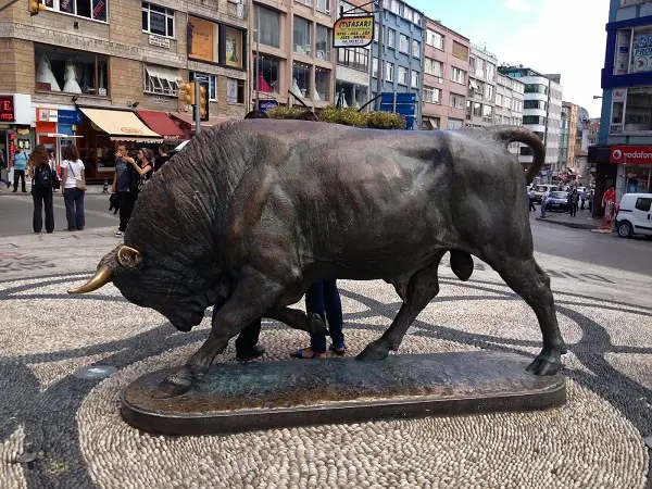 boga-kadikoy