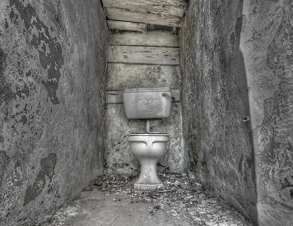 cakal emlakci 21