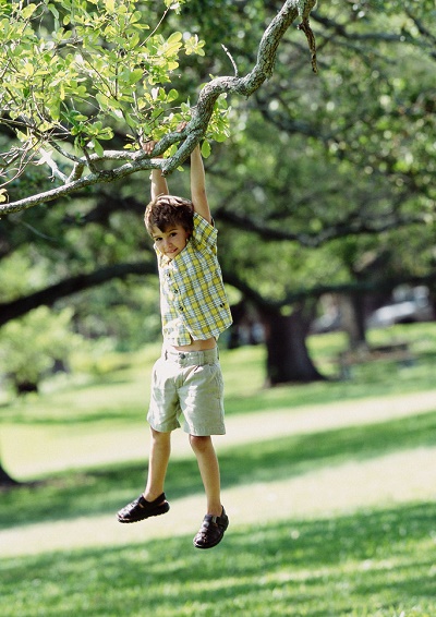 Boy Swinging from Tree