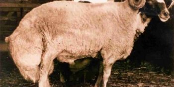 Kamu Hizmeti Niteliğinde 12 Maddede Haftalık Burç Yorumunuz