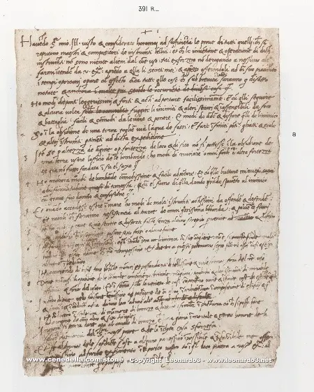 sforzanin_himayesinde-leonardo-da-vinci