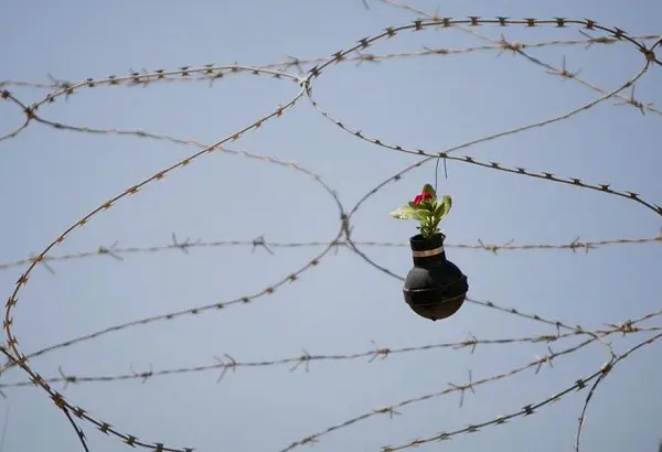 tear-gas-flower-pots-palestine-3