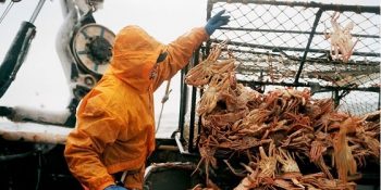 Meraklı Bünyelere 12 Maddeyle Haftalık Burç Yorumu