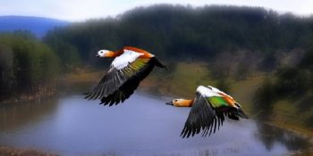 14 Maddeyle Yeni Havalimanımız ve Talih-siz Kuşlarımız