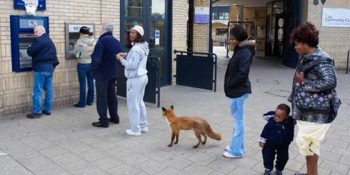 Günlük Hayatımızın Akışını Yavaşlatan 11 Tip