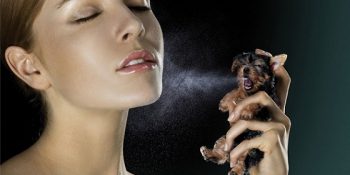 11 Maddeyle ‘Hayvanları Koruma Kanunu’nun Etkileri