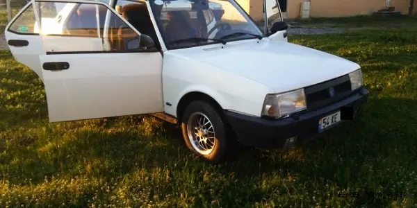 piknik-tipleri-kapilari-acik-araba