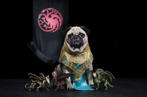 daenerys-targaryen