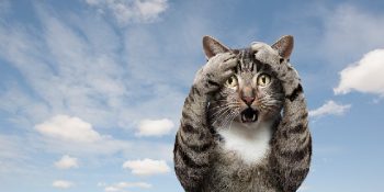 Öğrendiğinizde Feleğinizi Şaşırtacak 15 Gerçek Bilgi