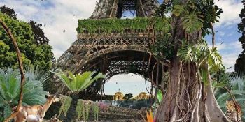 31 Maddede İnsandan Sonra Dünyada Neler Olacak?