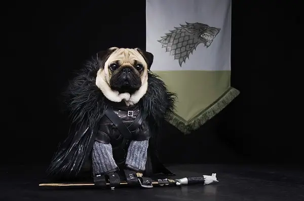 jon-snow