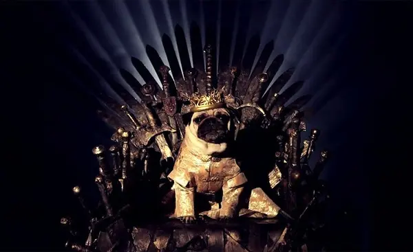 king-joffrey
