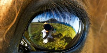 32 Manyak Kareyle National Geographic Fotoğraf Yarışması