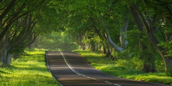 İstanbul’da Ulaşımın Aslında Bir Harika Olduğuna Dair 14 Kanıt