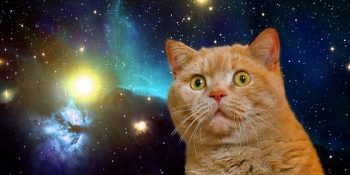 Gerekli Teknoloji Olsa Uzayı ve Zamanı Rahatlıkla Bükebilecek 15 Anne Çıkışı