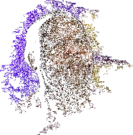 escinsel-onyargi-3