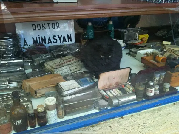 kuzguncuk-doktor-minasyan