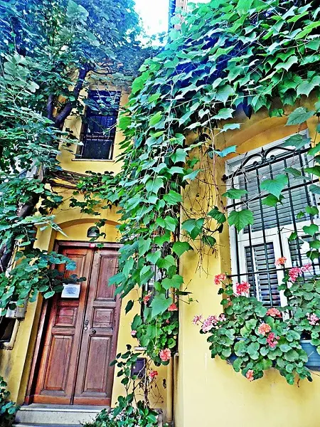 kuzguncuk-sari-kosk-sarmasik