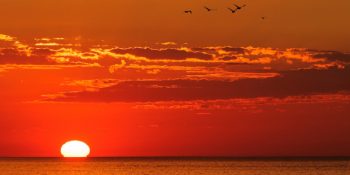 Bilimsel Olarak Kanıtlanmış Dünyanın En Rahatlatıcı 10 Şarkısı