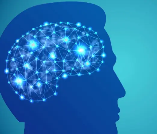 the-artificial-neural-network