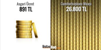 Yeni Cumhurbaşkanı Maaşı ile Kaç Ayakkabı Kutusu Alınabilir?