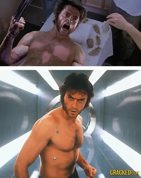 wolverine
