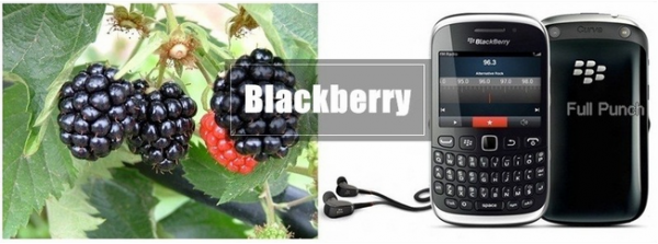 blackberryyy