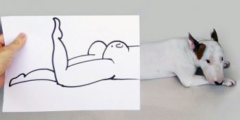 Girdiği Bunalımdan Köpeği Yardımıyla Çıkan Adam Ve Köpeğinin 14 Fotoğrafı