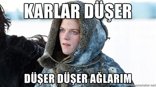 got-4