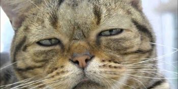 Doğum Günlerinin Mutluluktan Çok Mutsuzluğa Dönüştüğü 15 An