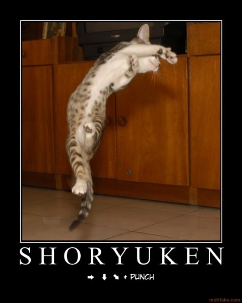 shoryuken-figher-cat-shoryuken-demo