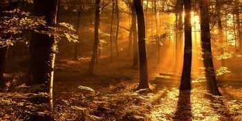 Sevdiğimiz Şairlerin Kaleminden En Güzel Sonbahar Şiirleri