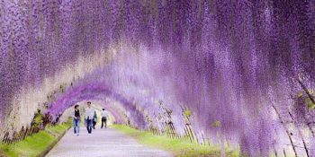 Adeta Arkaplan Yapılası Adımına Kurban 28 Yürüyüş Yolu