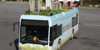 Yeşillik Görünce Zıplayan İBB İçin Doğa Dostu Otobüs ‘Botobüs’e 14 Öneri