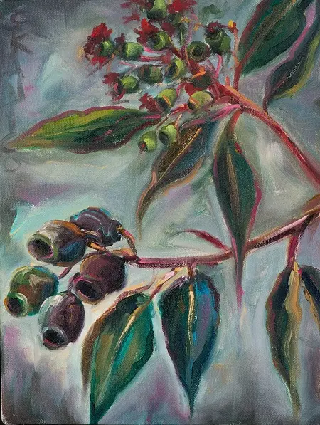 concetta-cicek