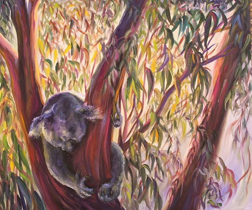 concetta-koala