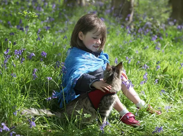 iris-and-thula-having-a-chat-in-the-bluebell-woodland