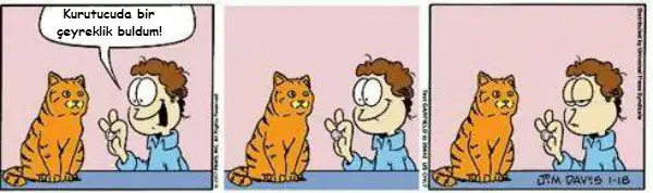 realfield-garfield-2