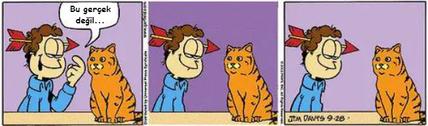 realfield-garfield-3