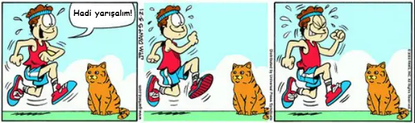 realfield-garfield-9