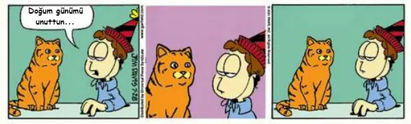 realfield_garfield_1